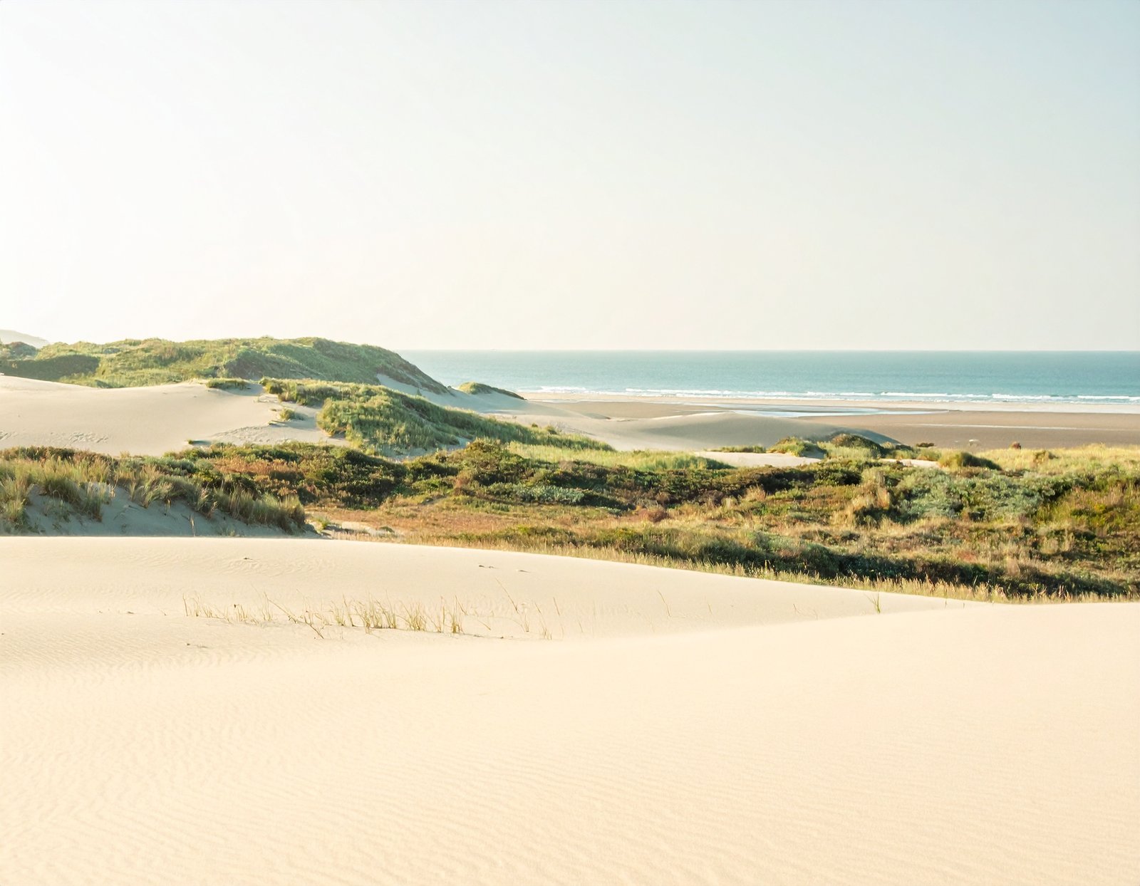 Weite Dünen am Meer